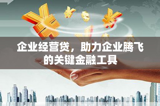 荥经企业经营贷，助力企业腾飞的关键金融工具