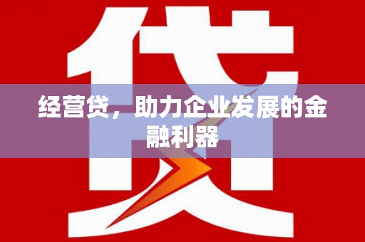 荥经经营贷，助力企业发展的金融利器