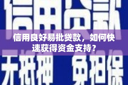 荥经信用良好易批贷款，如何快速获得资金支持？