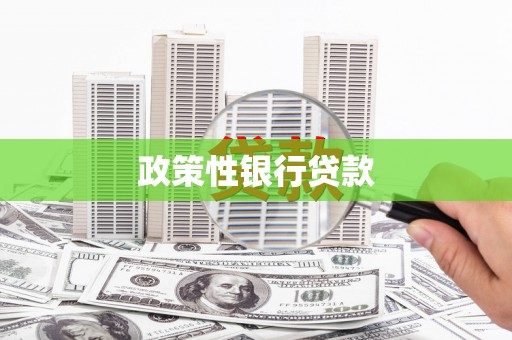 荥经政策性银行贷款
