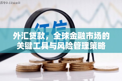 荥经外汇贷款，全球金融市场的关键工具与风险管理策略