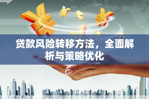 荥经贷款风险转移方法，全面解析与策略优化