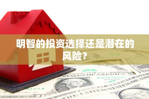 荥经明智的投资选择还是潜在的风险？