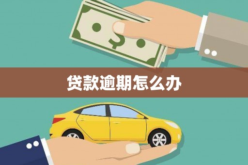 荥经贷款逾期怎么办