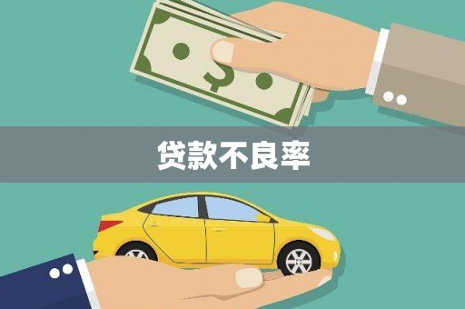荥经贷款不良率