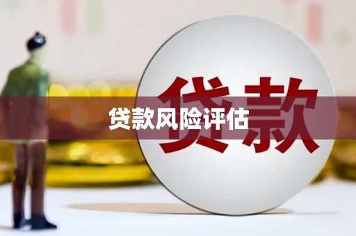 荥经贷款风险评估
