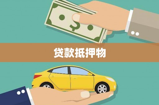 荥经贷款抵押物