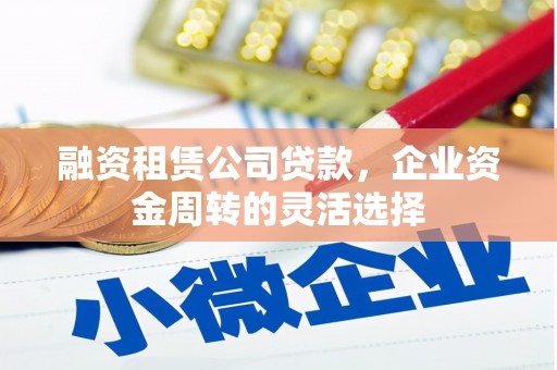 荥经融资租赁公司贷款，企业资金周转的灵活选择