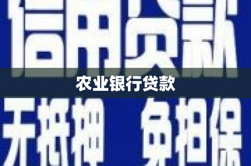 荥经农业银行贷款