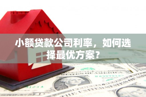 荥经小额贷款公司利率，如何选择最优方案？