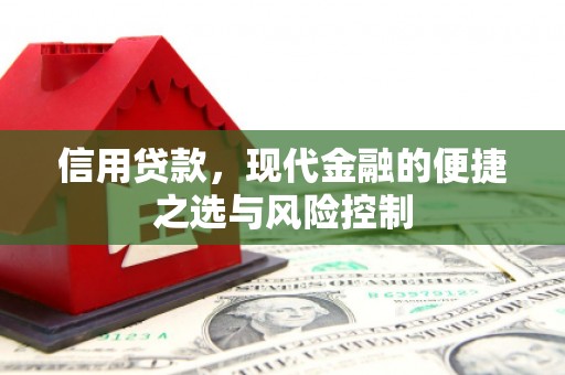 荥经信用贷款，现代金融的便捷之选与风险控制