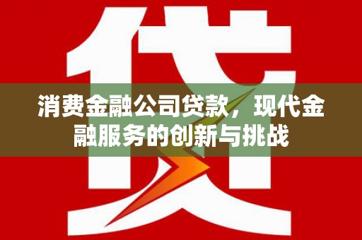 荥经消费金融公司贷款，现代金融服务的创新与挑战