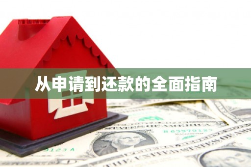 荥经从申请到还款的全面指南