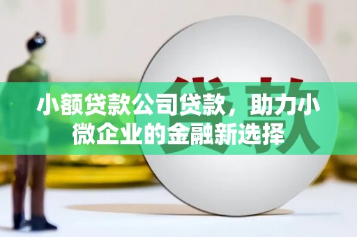 荥经小额贷款公司贷款，助力小微企业的金融新选择