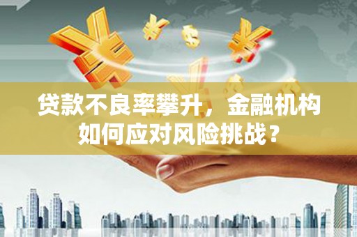 荥经贷款不良率攀升，金融机构如何应对风险挑战？