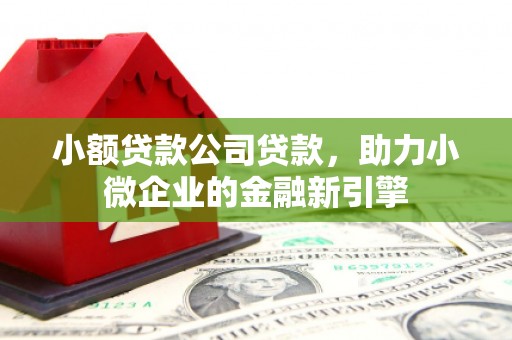 荥经小额贷款公司贷款，助力小微企业的金融新引擎