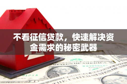 荥经不看征信贷款，快速解决资金需求的秘密武器