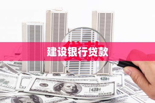 荥经建设银行贷款