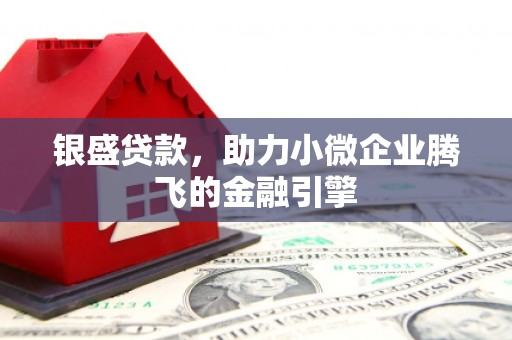 荥经银盛贷款，助力小微企业腾飞的金融引擎