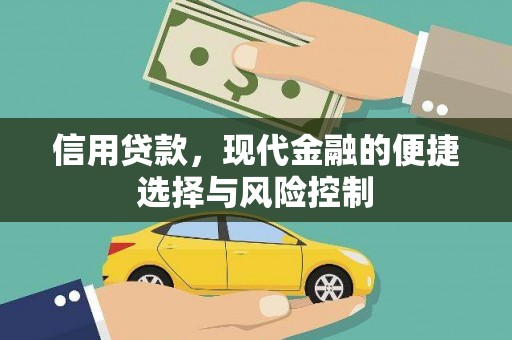 荥经信用贷款，现代金融的便捷选择与风险控制