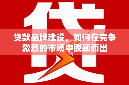 荥经贷款品牌建设，如何在竞争激烈的市场中脱颖而出