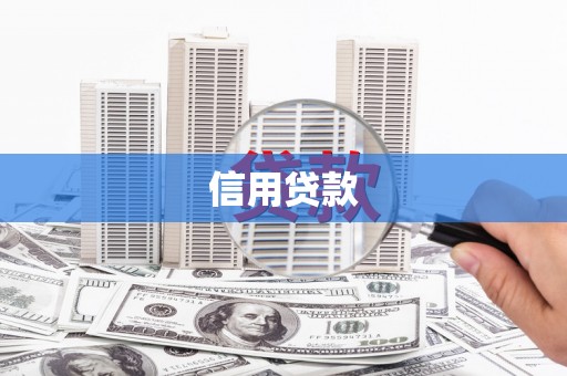 荥经信用贷款