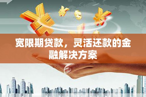 荥经宽限期贷款，灵活还款的金融解决方案
