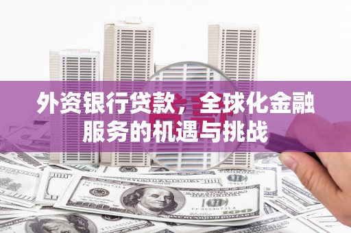 荥经外资银行贷款，全球化金融服务的机遇与挑战