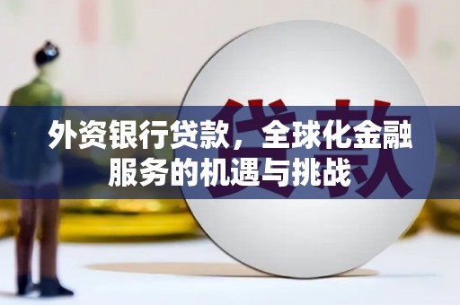 荥经外资银行贷款，全球化金融服务的机遇与挑战