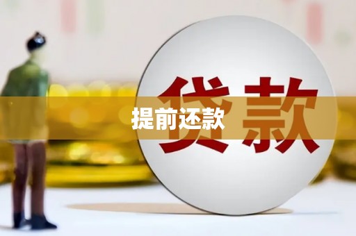 荥经提前还款