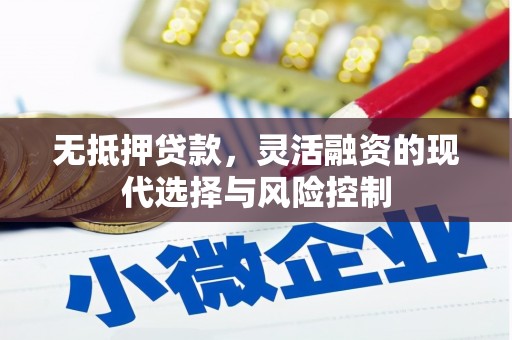荥经无抵押贷款，灵活融资的现代选择与风险控制
