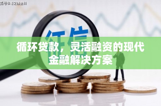 荥经循环贷款，灵活融资的现代金融解决方案