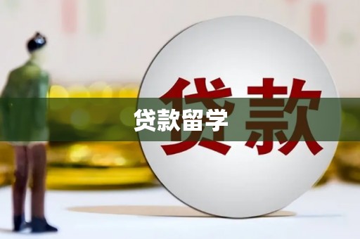 荥经贷款留学