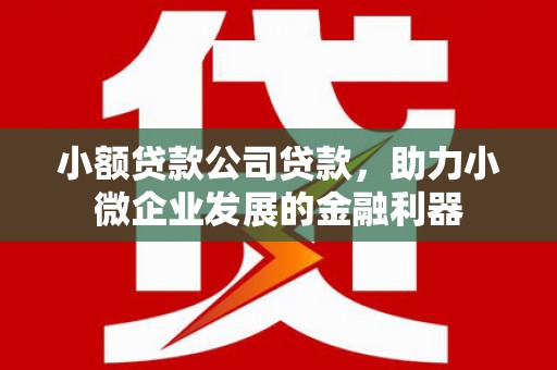 荥经小额贷款公司贷款，助力小微企业发展的金融利器