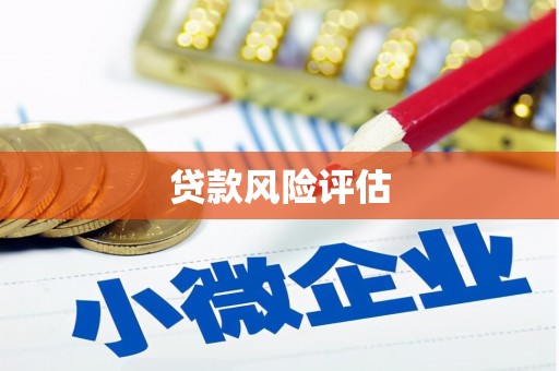 荥经贷款风险评估