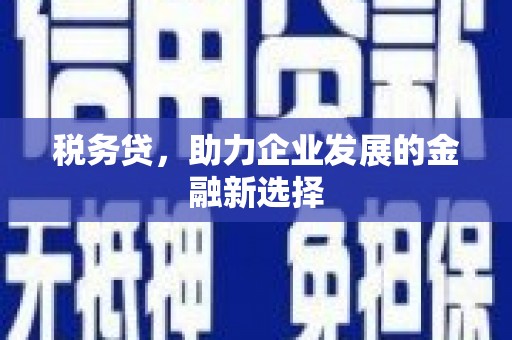 荥经税务贷，助力企业发展的金融新选择