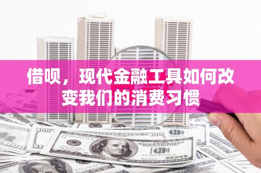 荥经借呗，现代金融工具如何改变我们的消费习惯