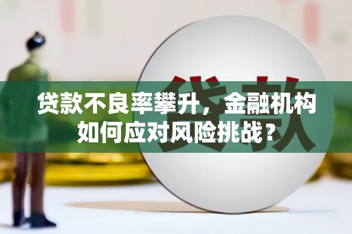 荥经贷款不良率攀升，金融机构如何应对风险挑战？