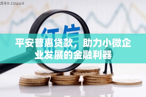 荥经平安普惠贷款，助力小微企业发展的金融利器