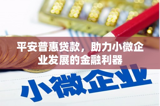 荥经平安普惠贷款，助力小微企业发展的金融利器