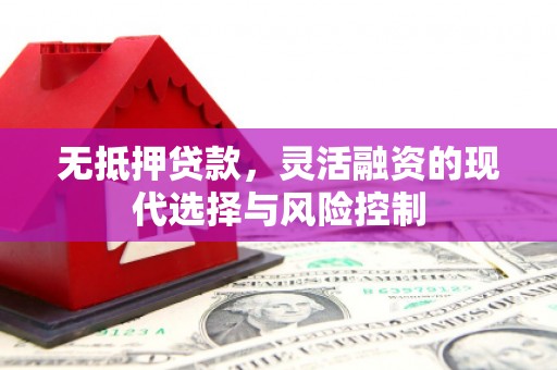 荥经无抵押贷款，灵活融资的现代选择与风险控制