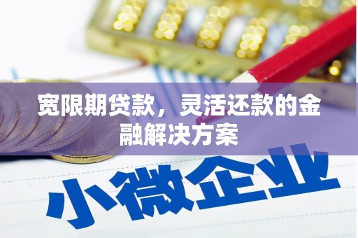 荥经宽限期贷款，灵活还款的金融解决方案