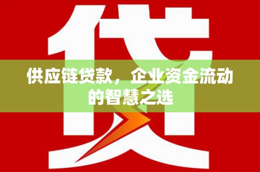 荥经供应链贷款，企业资金流动的智慧之选