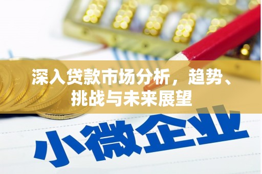 荥经深入贷款市场分析，趋势、挑战与未来展望