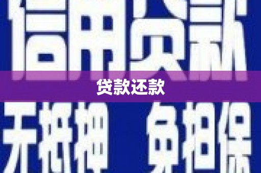 荥经贷款还款