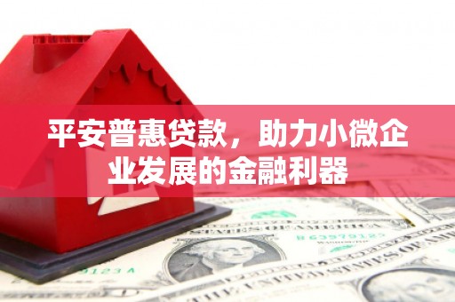 荥经平安普惠贷款，助力小微企业发展的金融利器