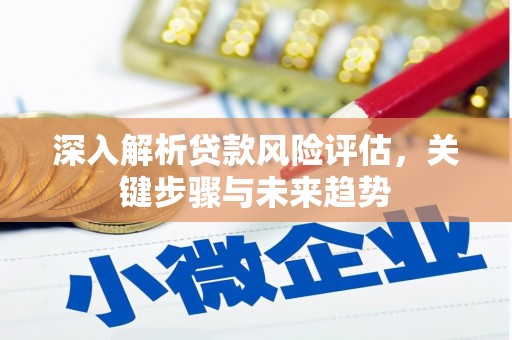 荥经深入解析贷款风险评估，关键步骤与未来趋势