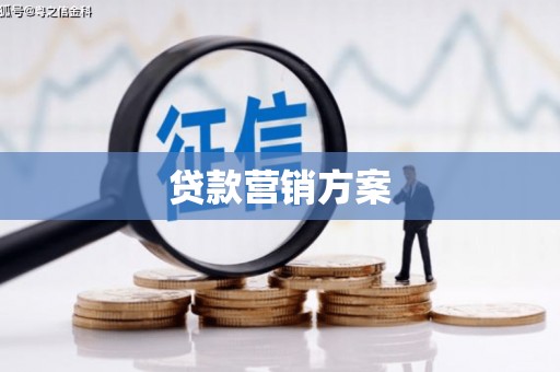 荥经贷款营销方案