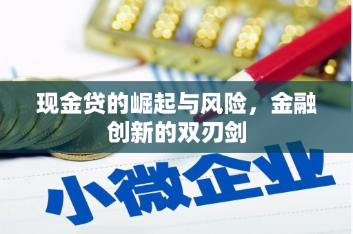 荥经现金贷的崛起与风险，金融创新的双刃剑