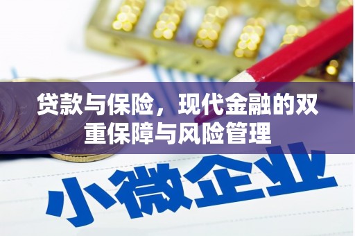 荥经贷款与保险，现代金融的双重保障与风险管理